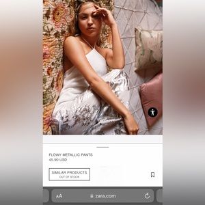 ISO: ZARA flowy metallic pants (L)